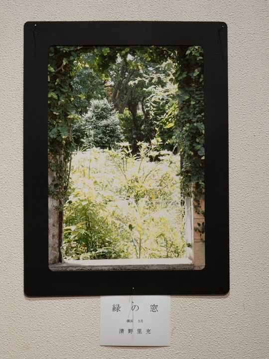清野