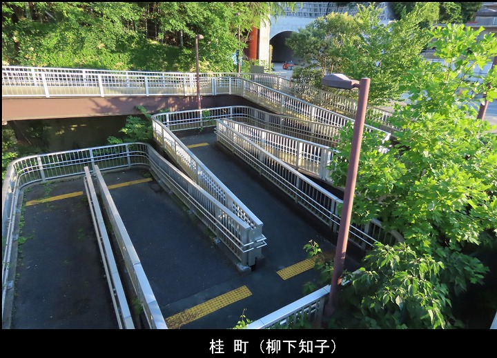 桂町（柳下知子）