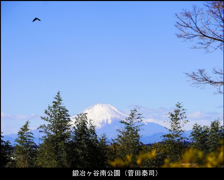 鍛冶ヶ谷南公園（菅田泰司）