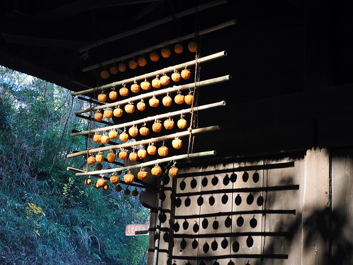 清野