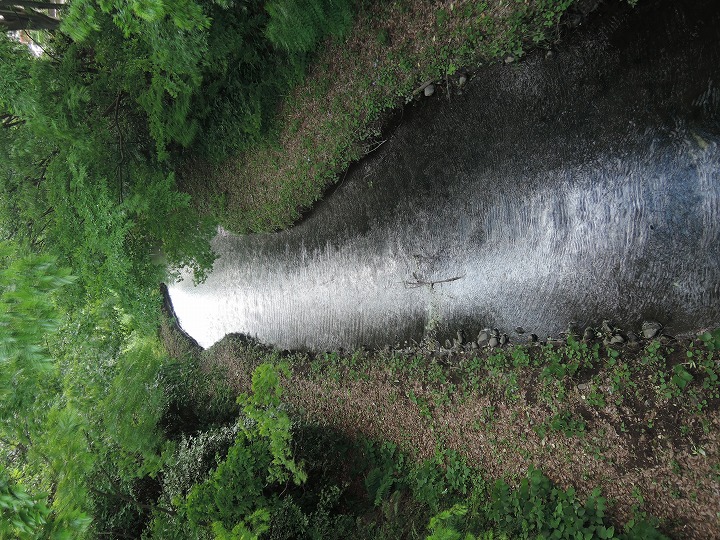 小嶋