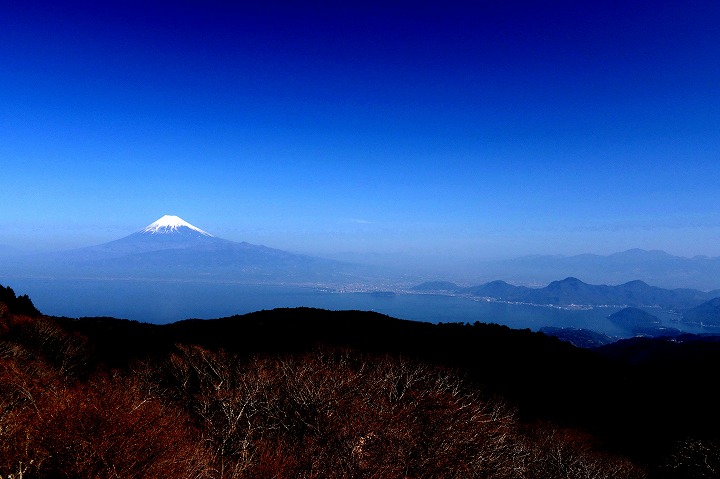 三浦