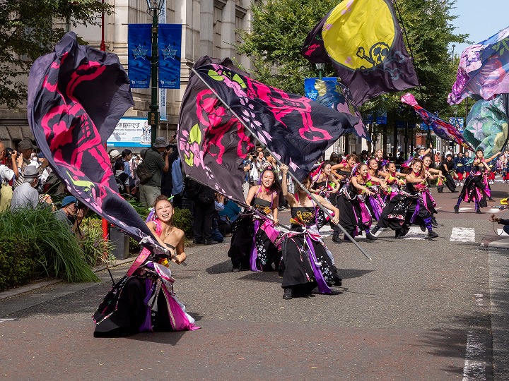横浜よさこい